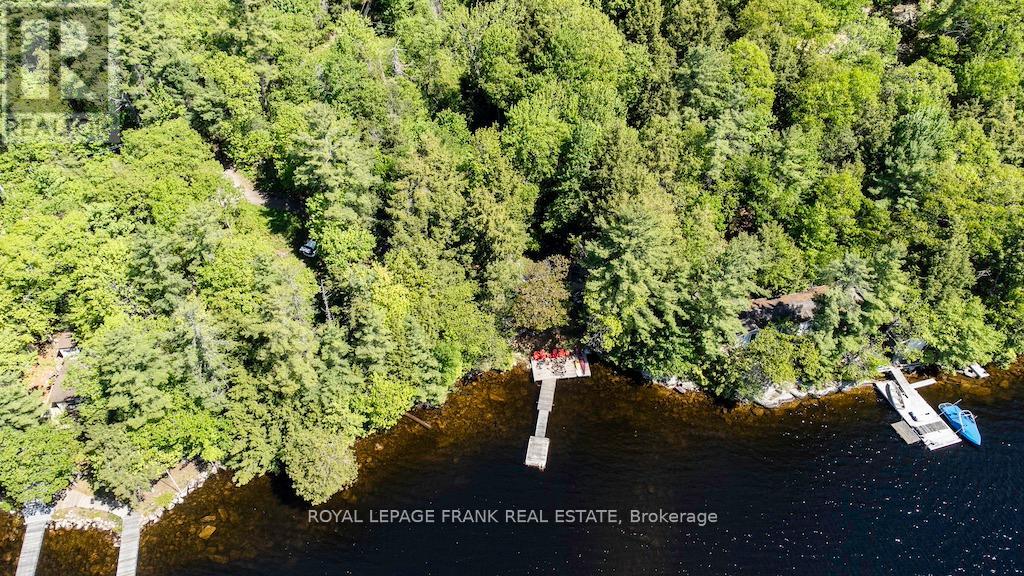 119 Fire Route 242, Trent Lakes, Ontario  K0L 1J0 - Photo 2 - X12346342