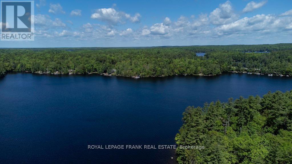 119 Fire Route 242, Trent Lakes, Ontario  K0L 1J0 - Photo 37 - X12346342