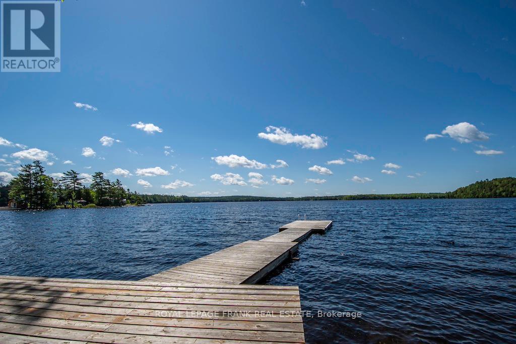 119 Fire Route 242, Trent Lakes, Ontario  K0L 1J0 - Photo 4 - X12346342