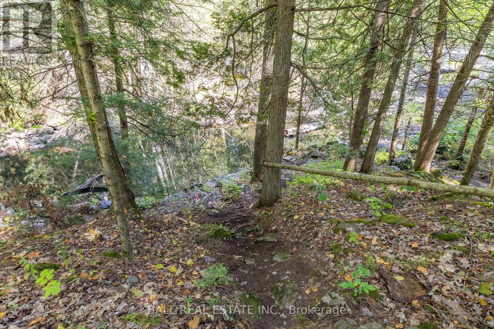 2476 County Rd 46, Havelock-Belmont-Methuen (Belmont-Methuen), Ontario  K0L 1Z0 - Photo 40 - X12346730