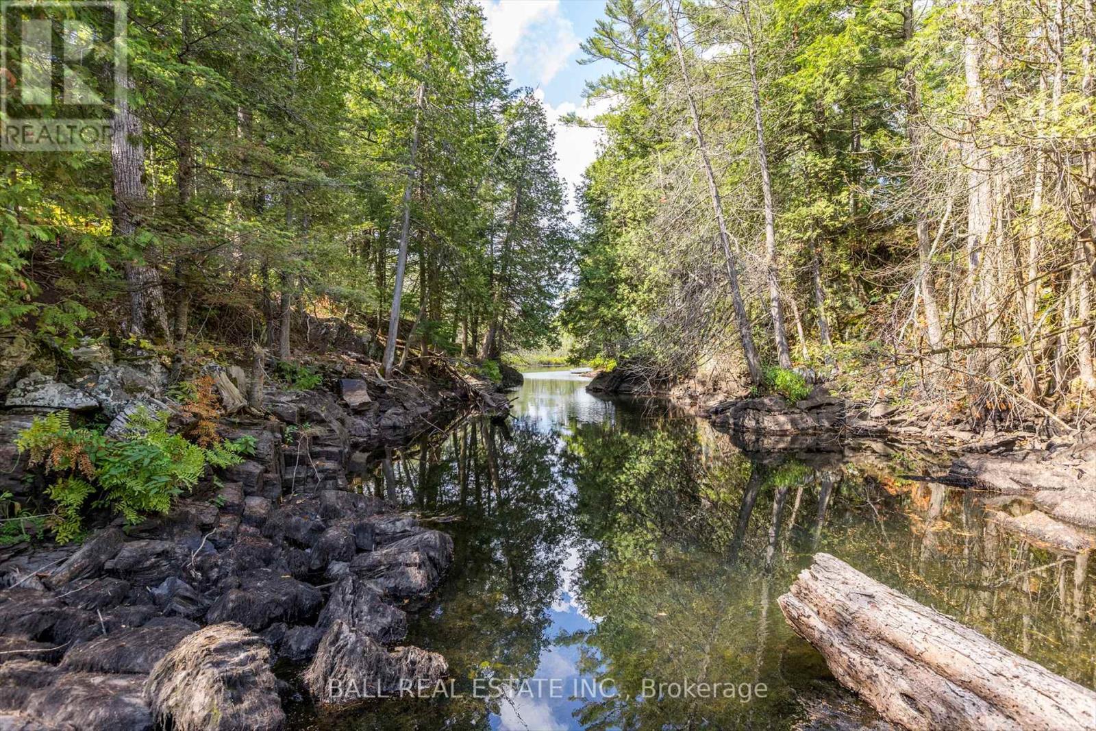 2476 County Rd 46, Havelock-Belmont-Methuen (Belmont-Methuen), Ontario  K0L 1Z0 - Photo 41 - X12346730