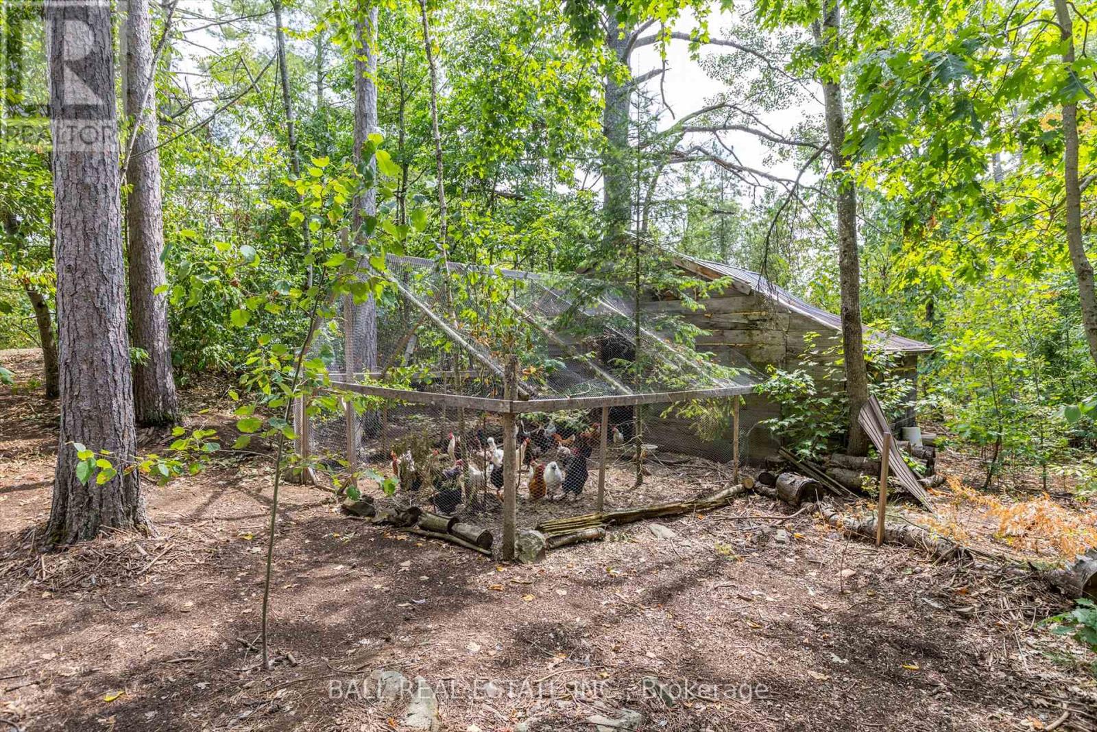 2476 County Rd 46, Havelock-Belmont-Methuen (Belmont-Methuen), Ontario  K0L 1Z0 - Photo 50 - X12346730
