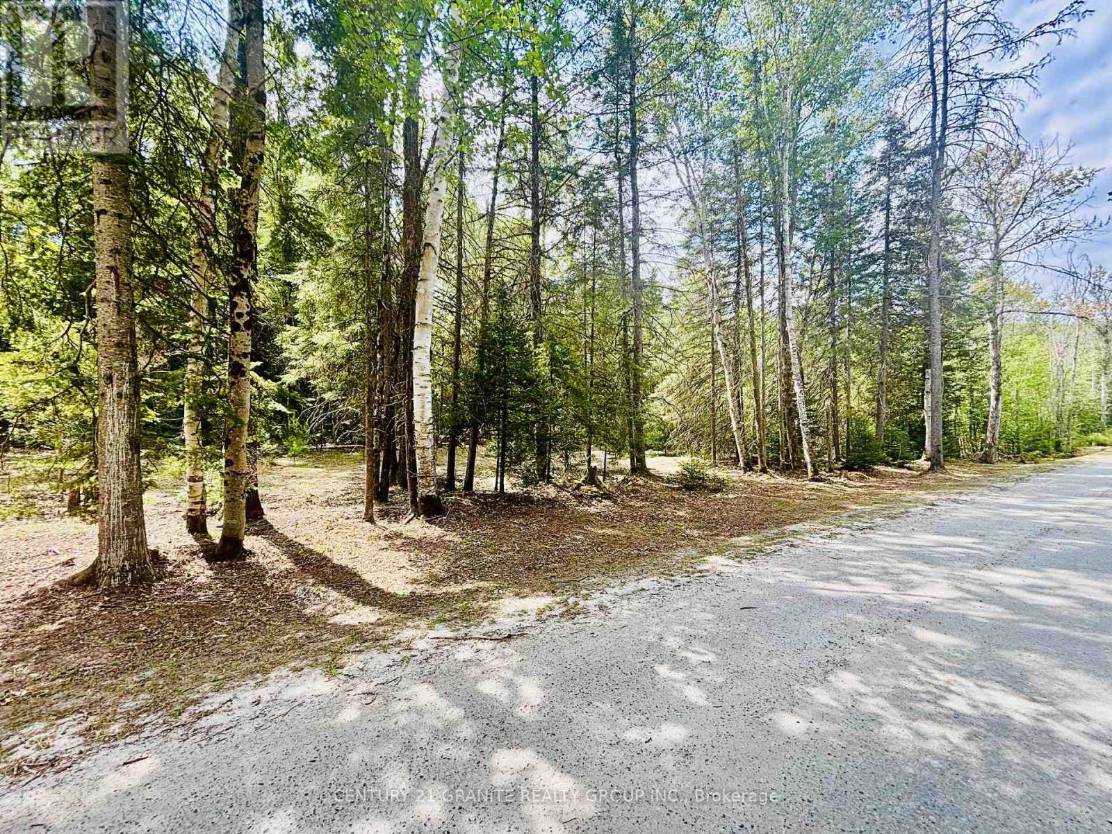 1227 Bay Lake Road, Bancroft (Bancroft Ward), Ontario  K0L 1C0 - Photo 4 - X12347537