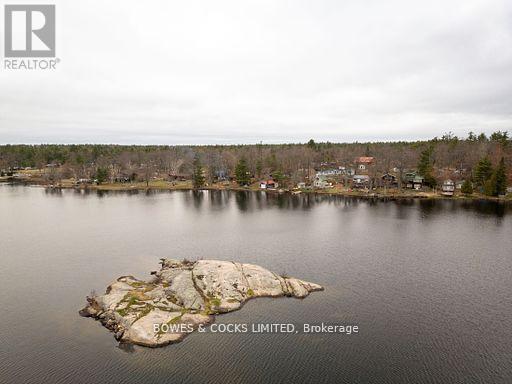 31 Fire Route 28, North Kawartha, Ontario  K0L 2H0 - Photo 40 - X12347932
