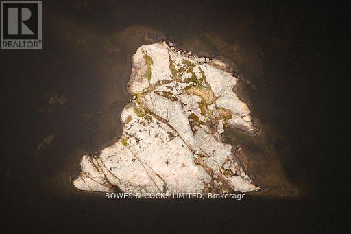 31 Fire Route 28, North Kawartha, Ontario  K0L 2H0 - Photo 47 - X12347932