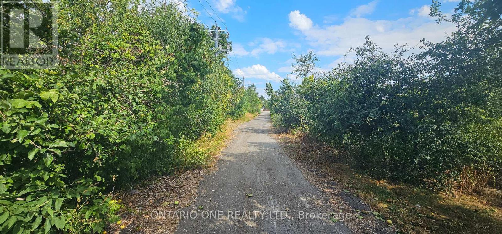15 Weldon Road, Kawartha Lakes (Lindsay), Ontario  K9V 4R4 - Photo 22 - X12349118