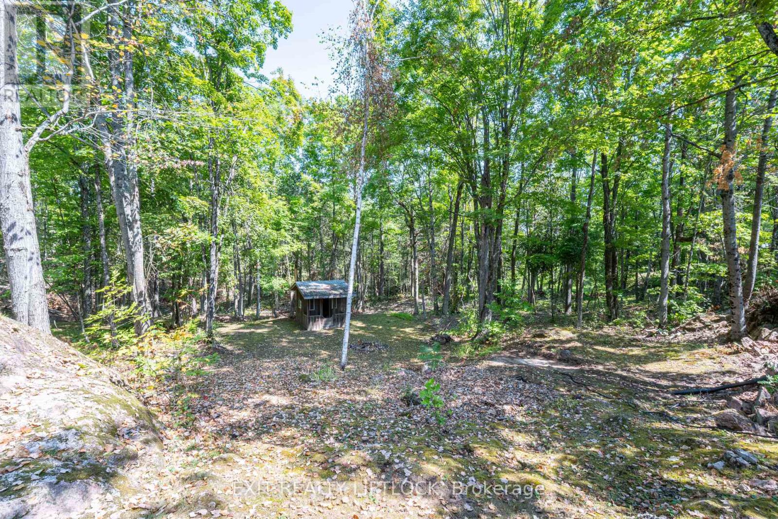 41 Fire Route 37, North Kawartha, Ontario  K0L 3E0 - Photo 25 - X12349901