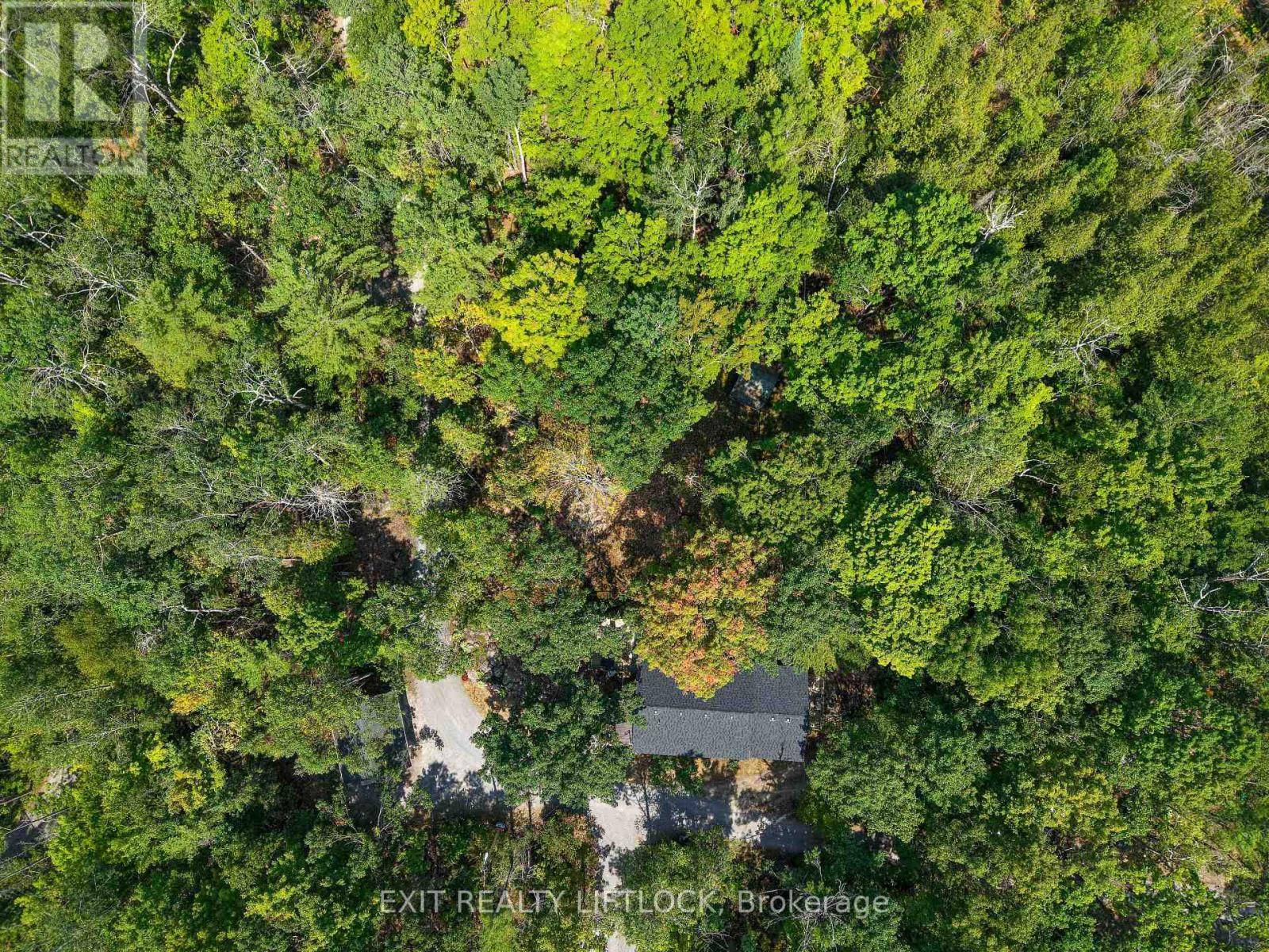 41 Fire Route 37, North Kawartha, Ontario  K0L 3E0 - Photo 33 - X12349901