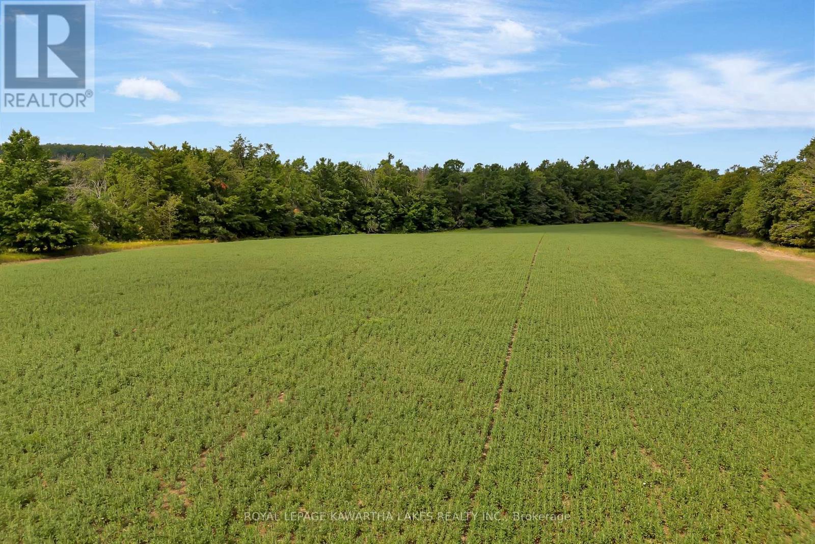 1707 Blezard Line E, Otonabee-South Monaghan, Ontario  K0L 2B0 - Photo 20 - X12350598