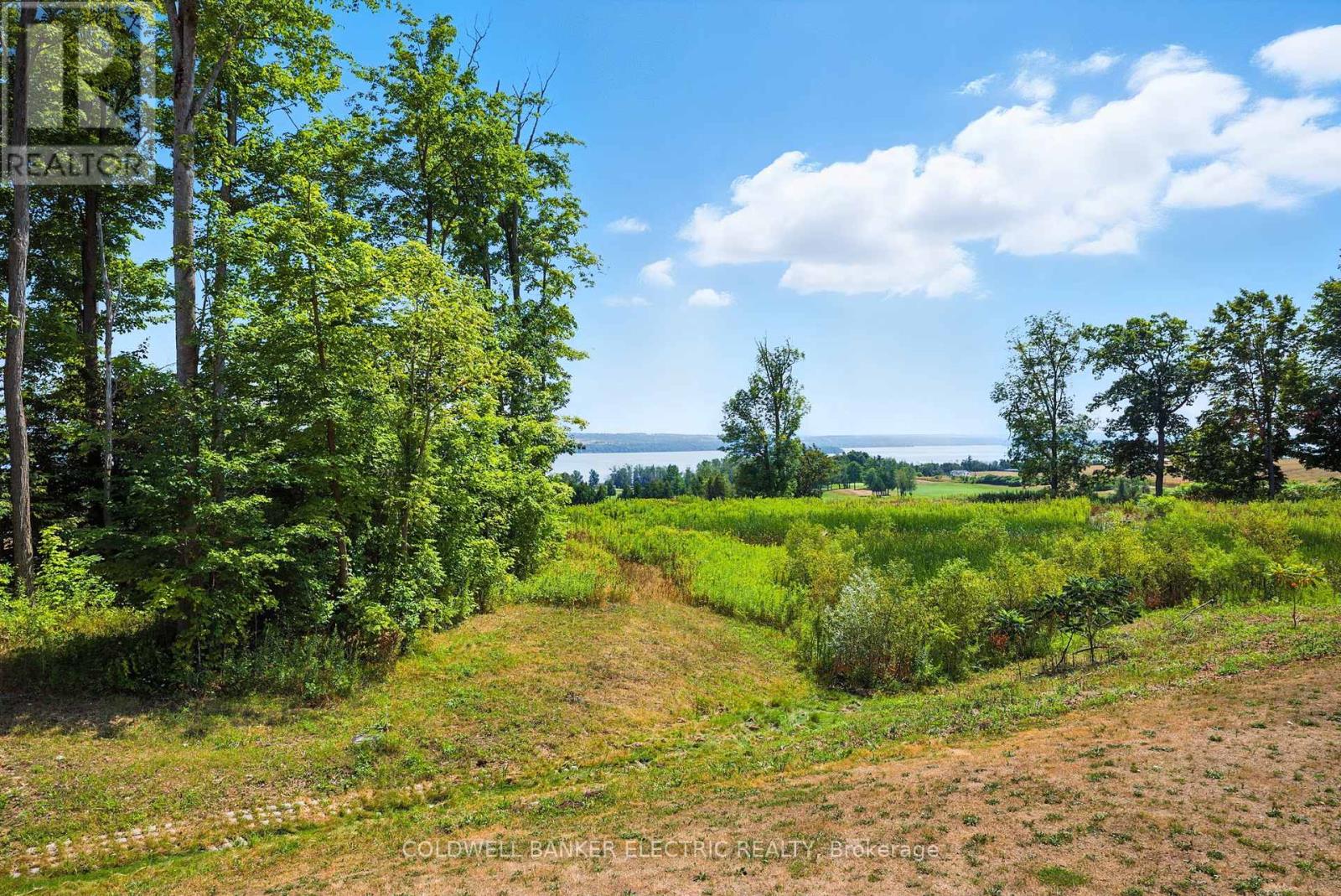 2glnab - 1235 Villiers Line, Otonabee-South Monaghan, Ontario  K0L 2G0 - Photo 23 - X12351049