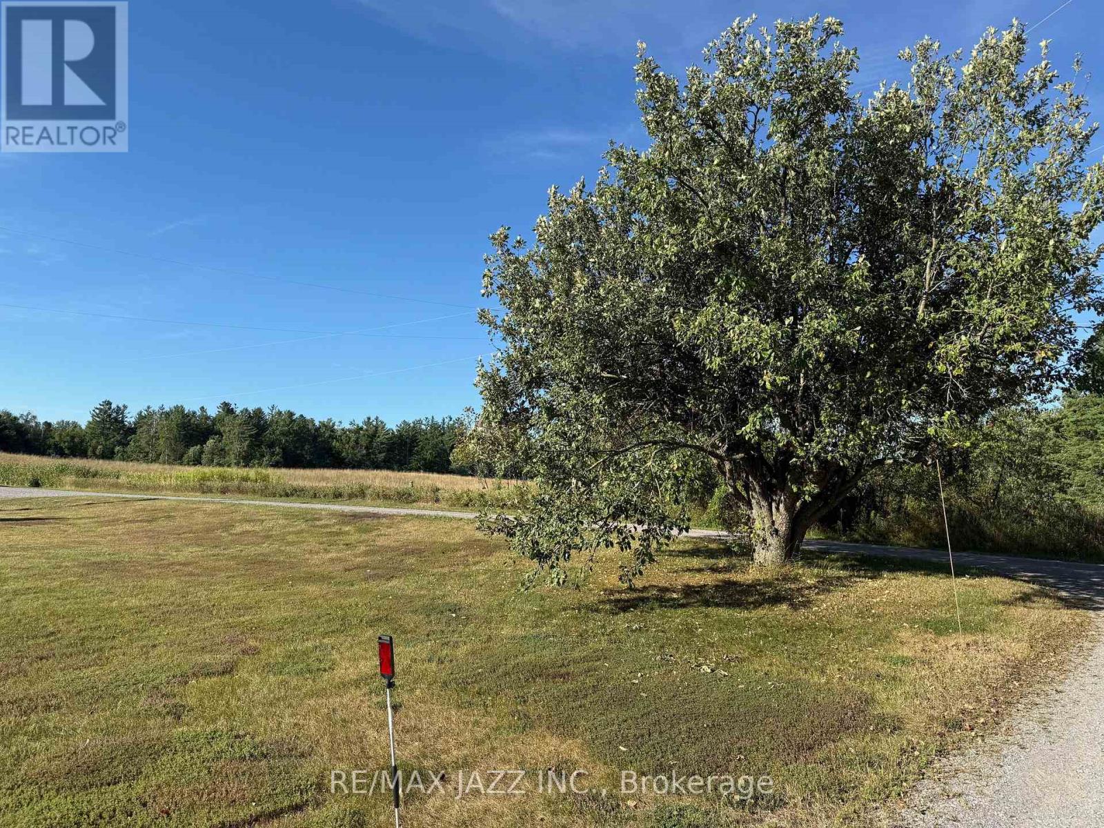 1967 Comstock Line, Asphodel-Norwood, Ontario  K0L 2V0 - Photo 34 - X12352453