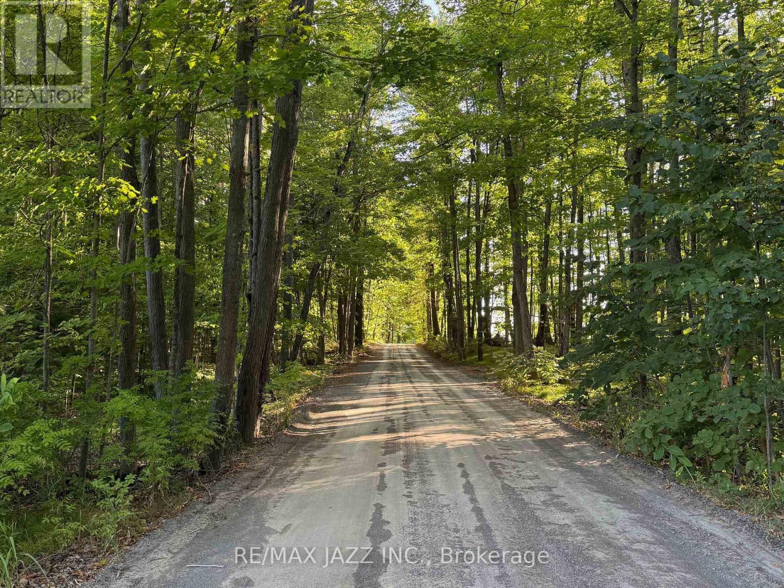 1967 Comstock Line, Asphodel-Norwood, Ontario  K0L 2V0 - Photo 35 - X12352453