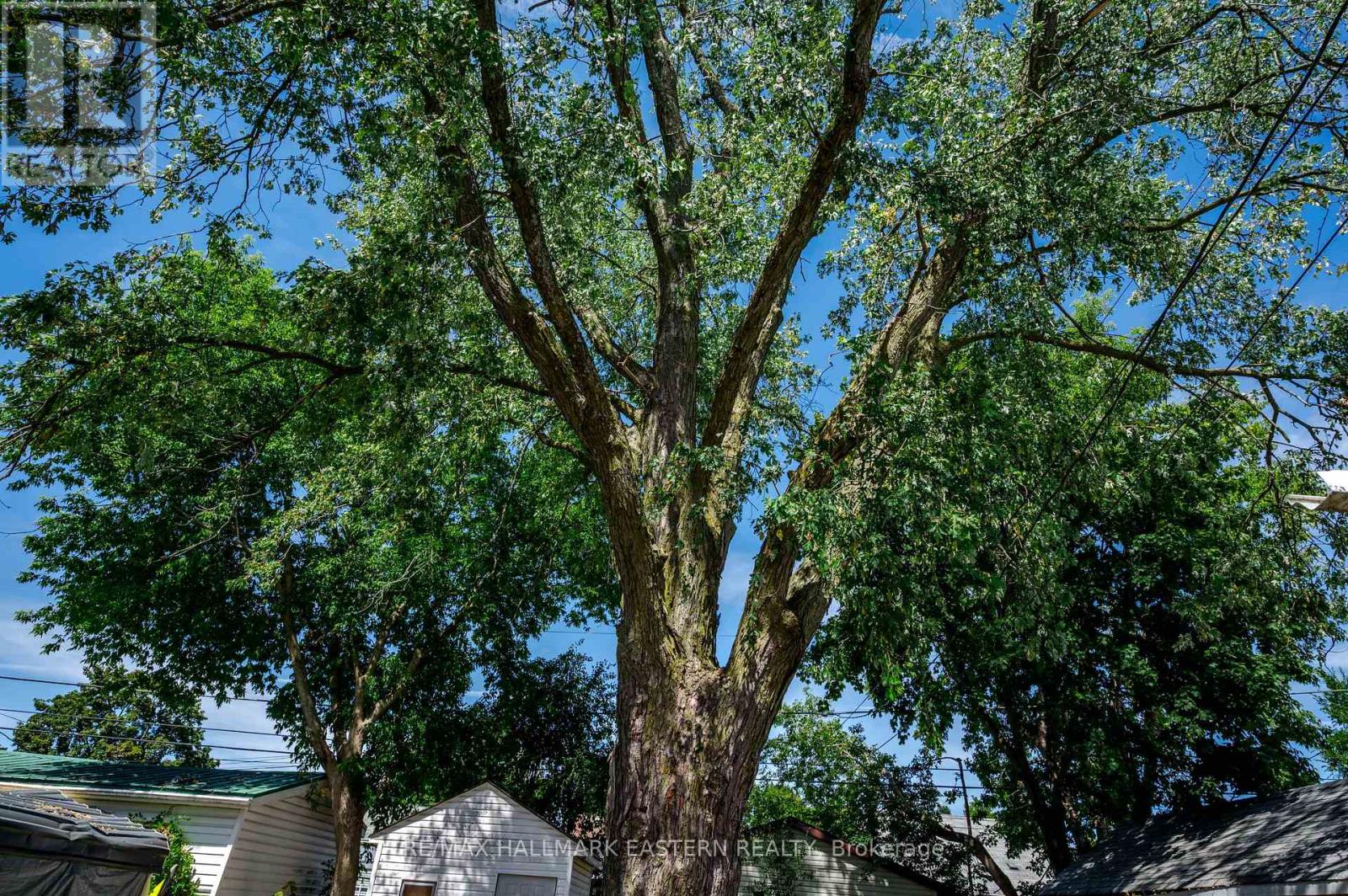 748 New Romaine Street, Peterborough (Otonabee Ward 1), Ontario  K9J 2E9 - Photo 41 - X12352462