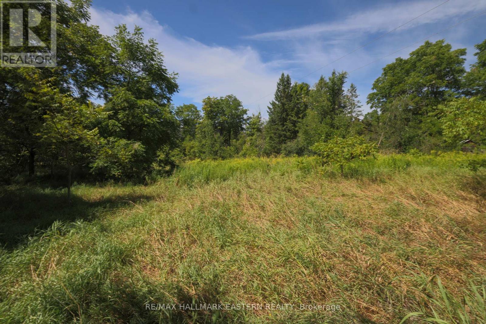0 COUNTY ROAD 29, douro-dummer, Ontario