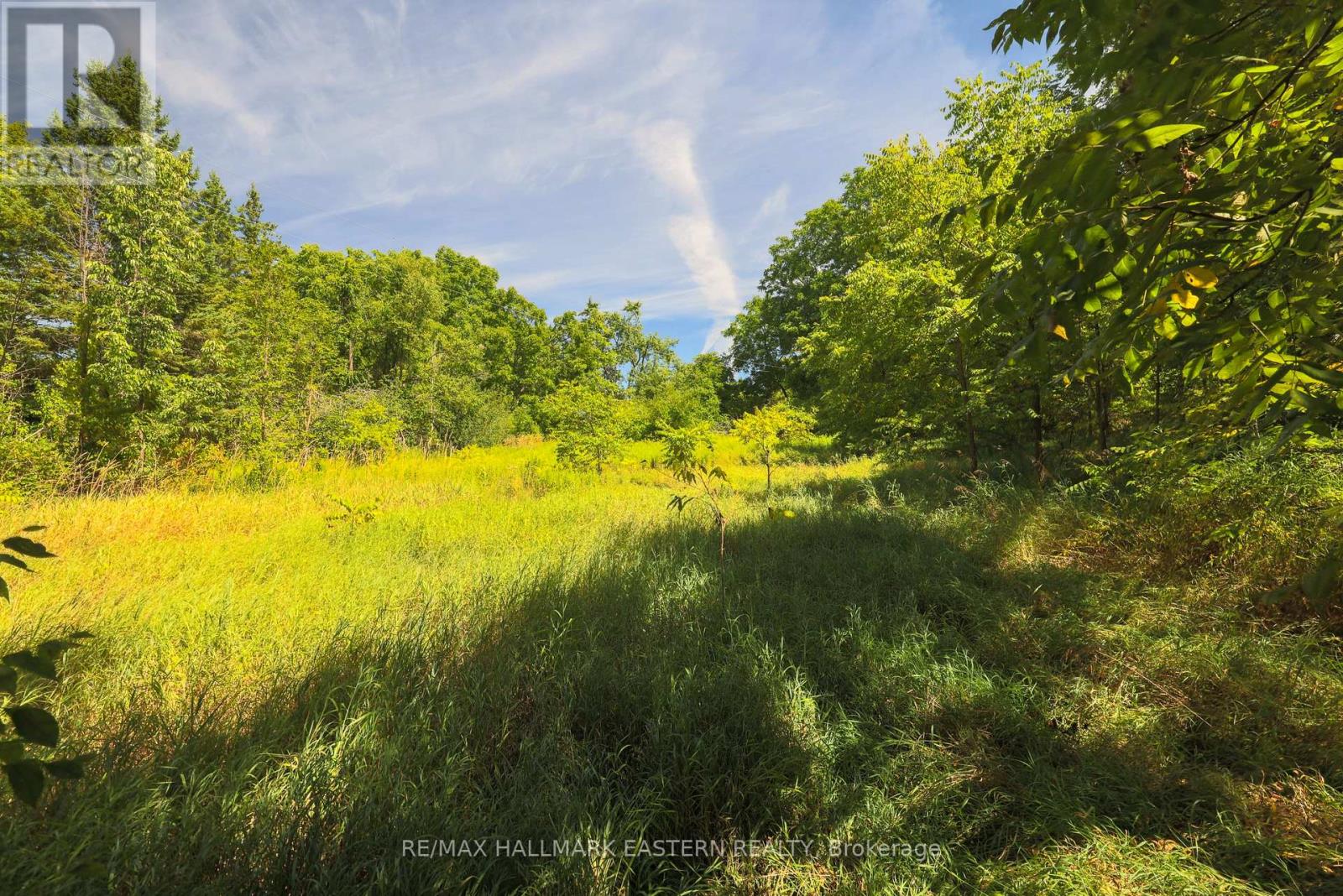 0 County Road 29, Douro-Dummer, Ontario  K0L 2H0 - Photo 3 - X12353263