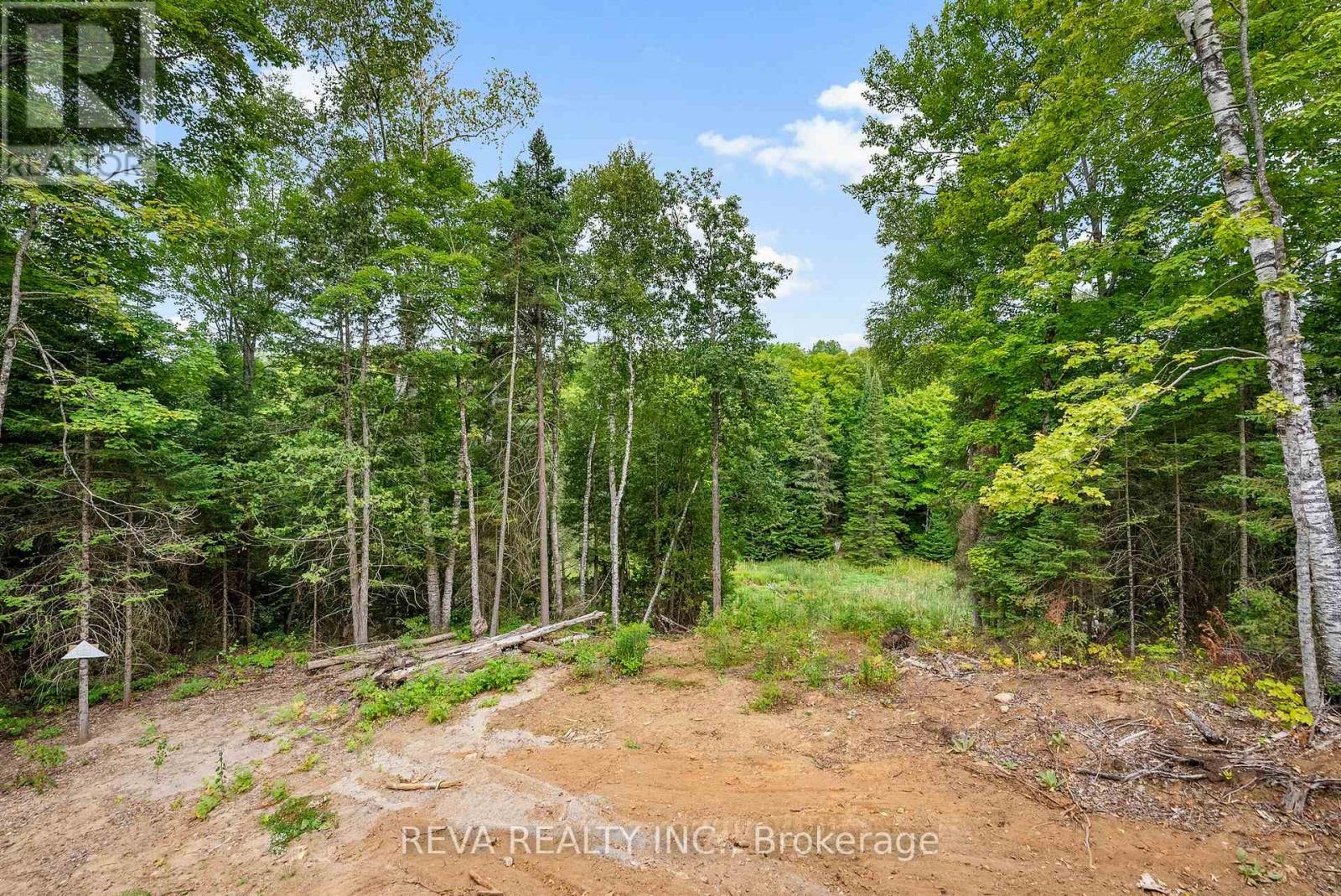 864 Jeffrey Lake Road, Faraday, Ontario  K0L 1C0 - Photo 36 - X12356950