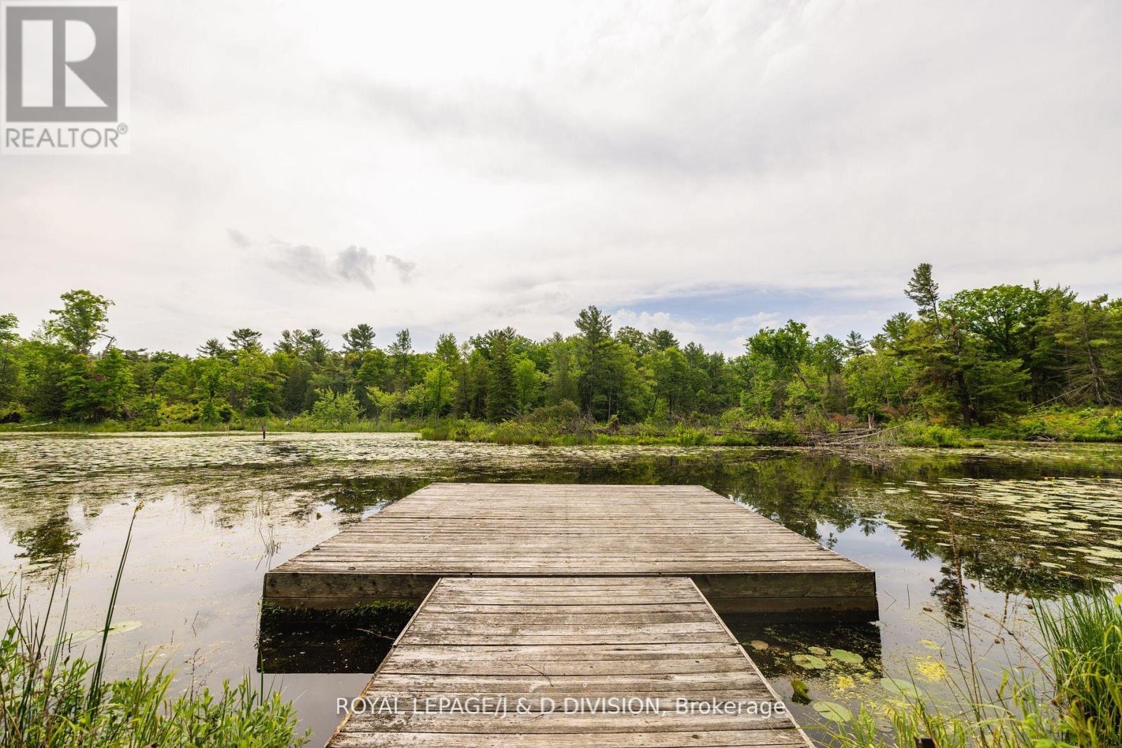 50 Fire Route 10b, North Kawartha, Ontario  K0L 3E0 - Photo 36 - X12356997