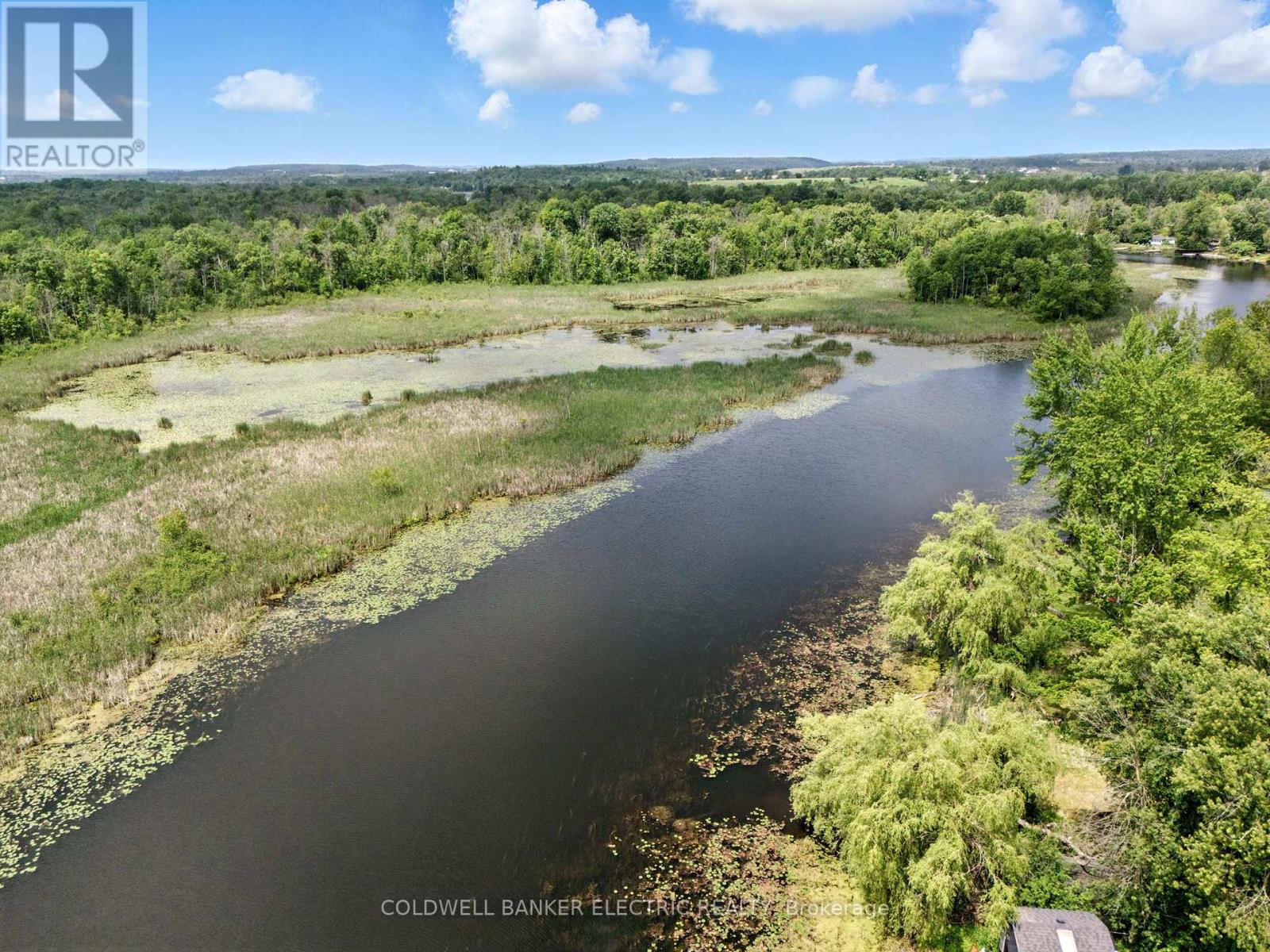 251 River Road, Trent Hills, Ontario  K0L 1L0 - Photo 10 - X12357631