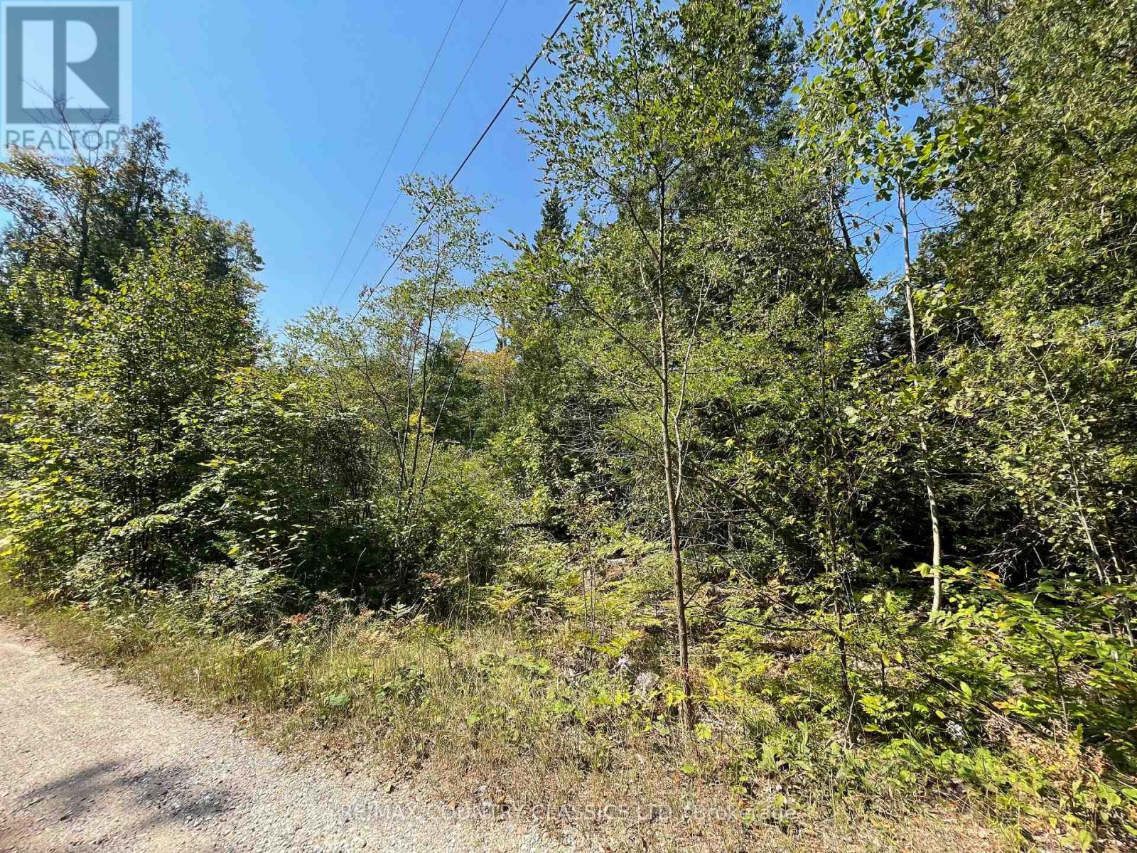 0 Park Lane, Limerick, Ontario  K0L 1P0 - Photo 7 - X12358653