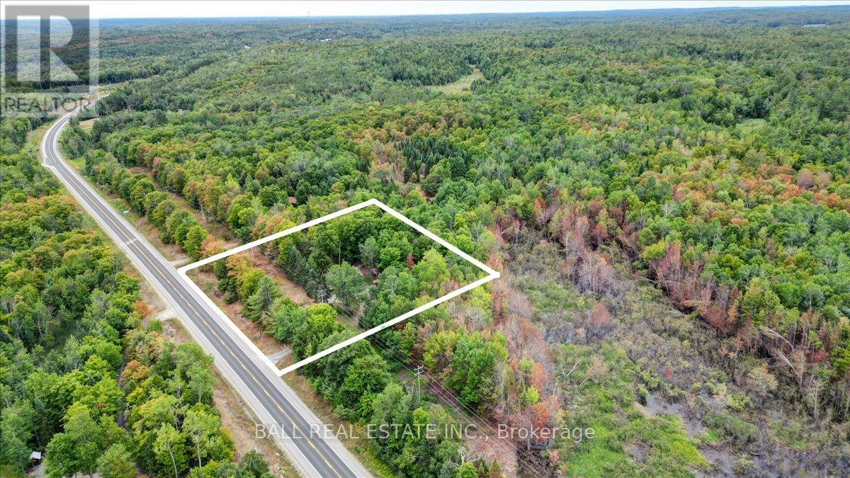 11780 - 28 Highway S, North Kawartha, Ontario  K0L 1A0 - Photo 34 - X12358697