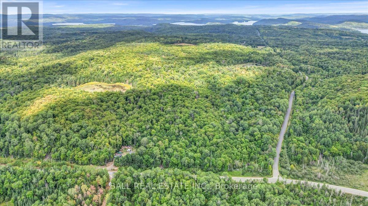 5005 Loop Road, Highlands East (Cardiff Ward), Ontario  K0L 2A0 - Photo 34 - X12358875