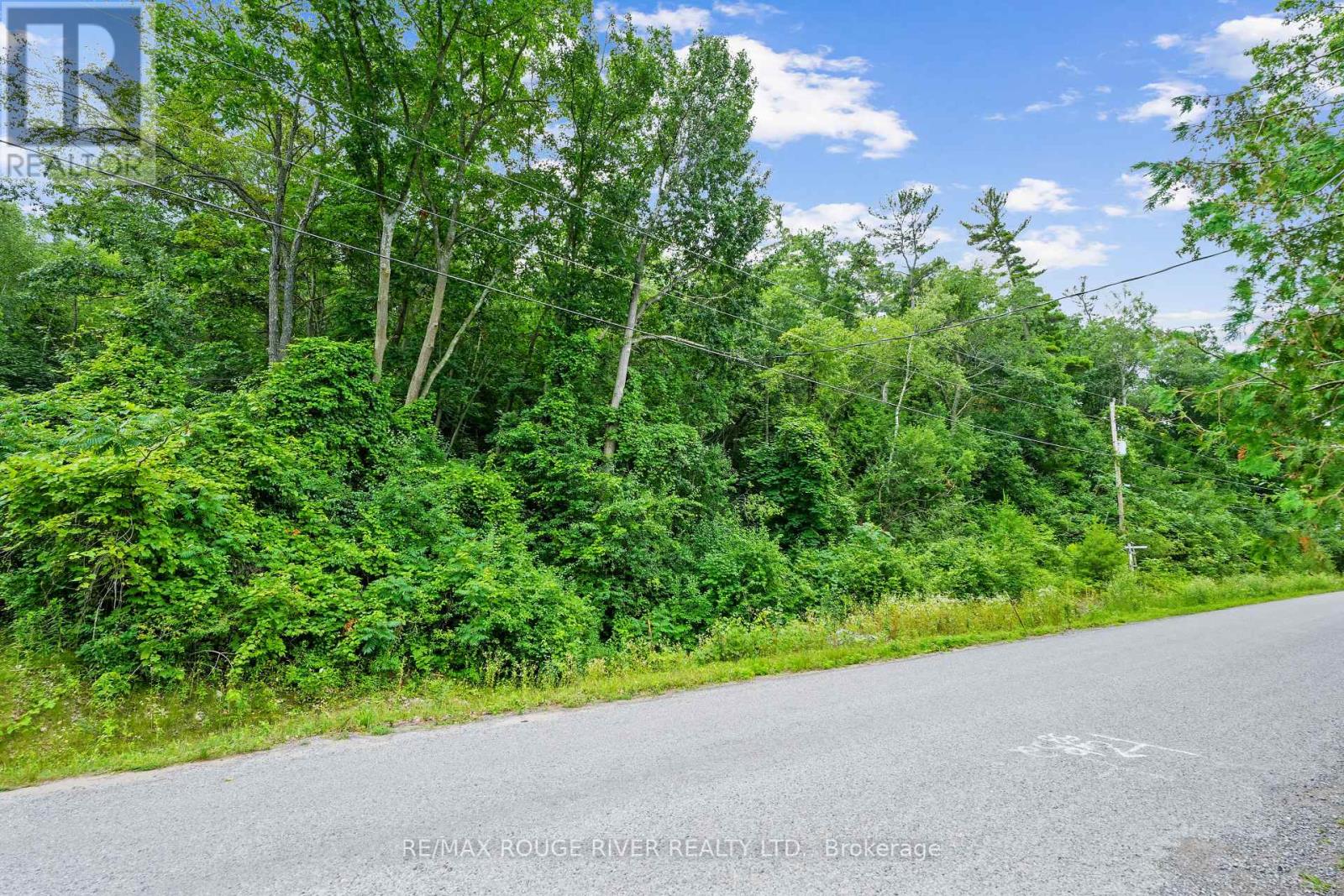 Lot 28 Bamsey Drive, Hamilton Township, Ontario  K0L 1E0 - Photo 15 - X12358946