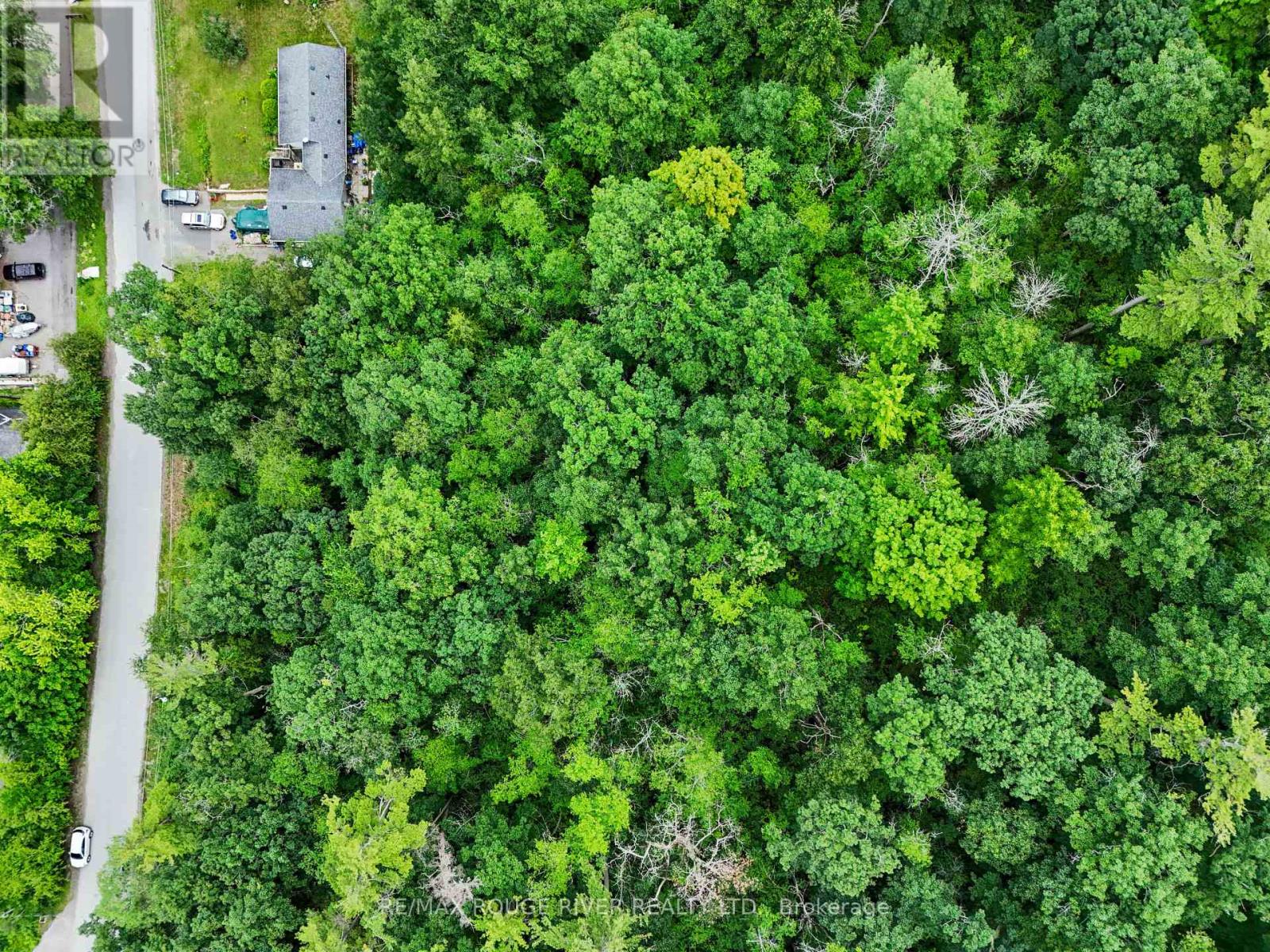 Lot 28 Bamsey Drive, Hamilton Township, Ontario  K0L 1E0 - Photo 3 - X12358946