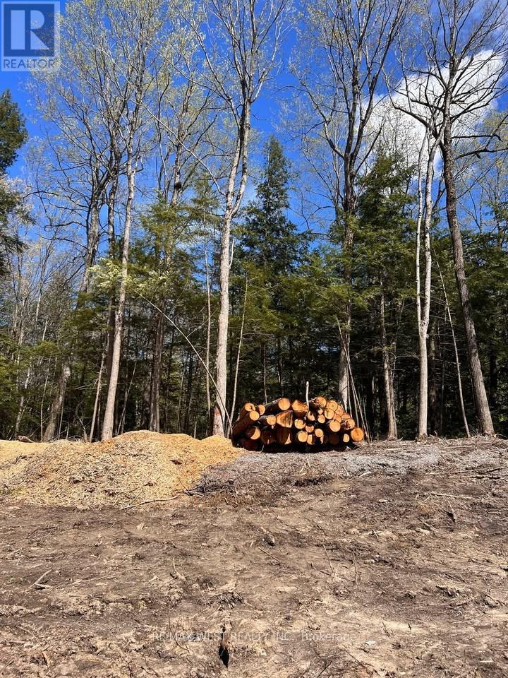 0 Lot Syer Line, Cavan Monaghan (Cavan-Monaghan), Ontario  L0A 1A0 - Photo 1 - X12359612