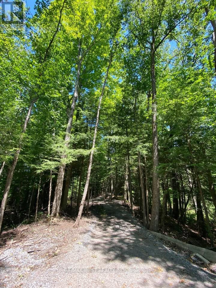 0 Lot Syer Line, Cavan Monaghan (Cavan-Monaghan), Ontario  L0A 1A0 - Photo 4 - X12359612