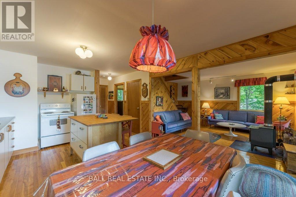 226 Fire Route 294, Trent Lakes, Ontario  K0L 1J0 - Photo 10 - X12361152