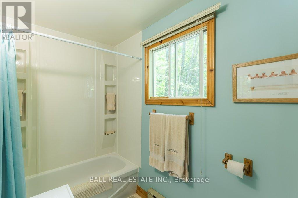 226 Fire Route 294, Trent Lakes, Ontario  K0L 1J0 - Photo 20 - X12361152
