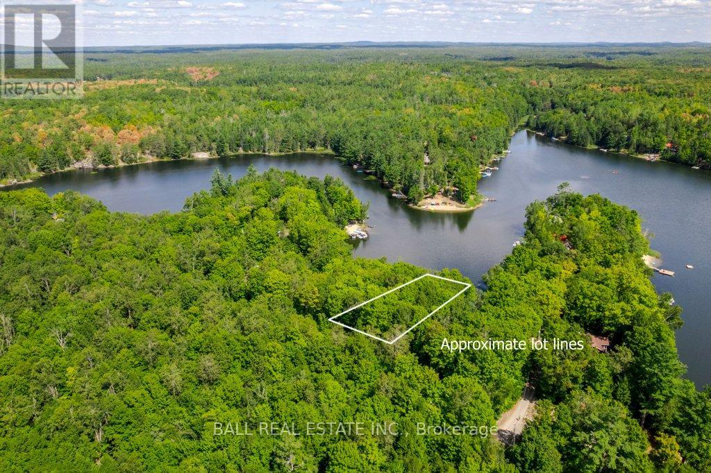 226 Fire Route 294, Trent Lakes, Ontario  K0L 1J0 - Photo 4 - X12361152