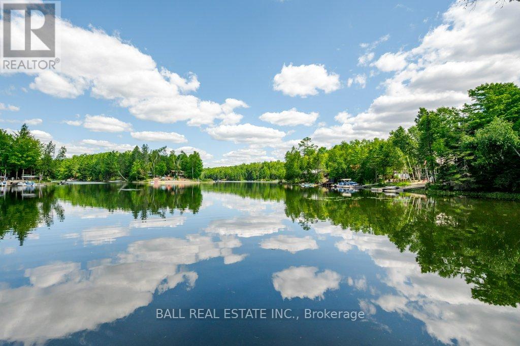 226 Fire Route 294, Trent Lakes, Ontario  K0L 1J0 - Photo 41 - X12361152