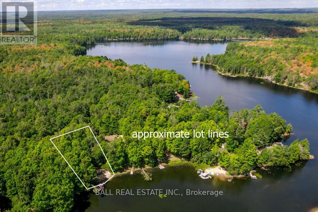 226 Fire Route 294, Trent Lakes, Ontario  K0L 1J0 - Photo 44 - X12361152