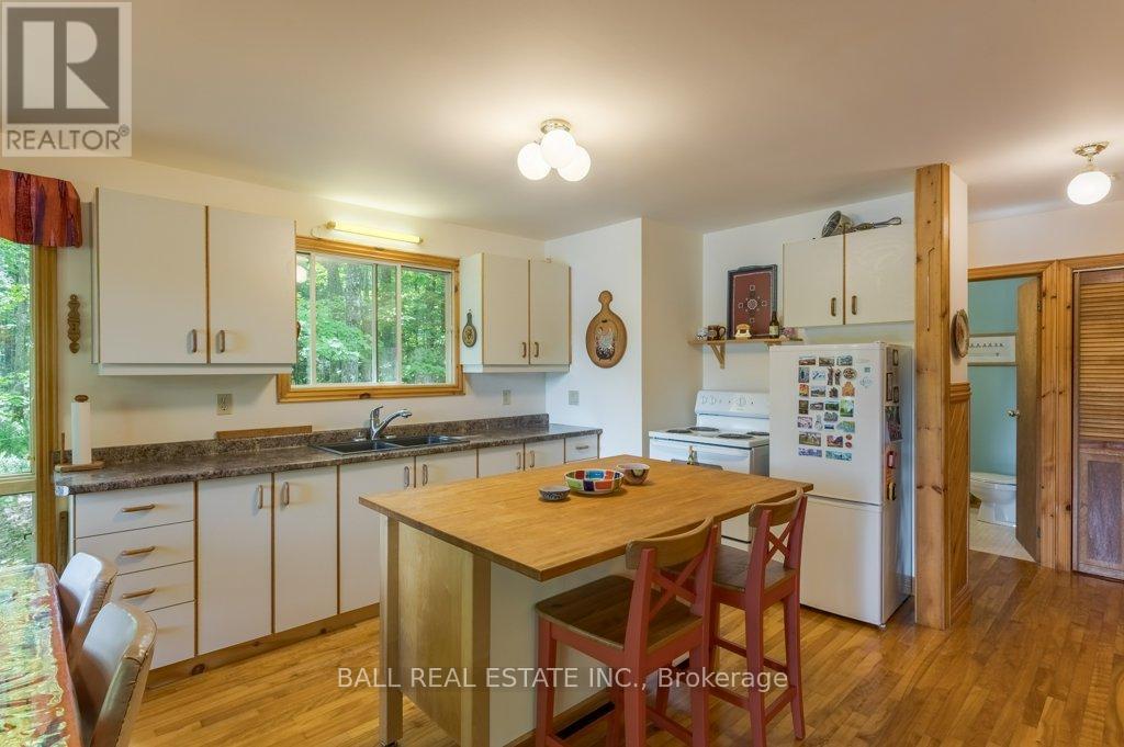 226 Fire Route 294, Trent Lakes, Ontario  K0L 1J0 - Photo 7 - X12361152
