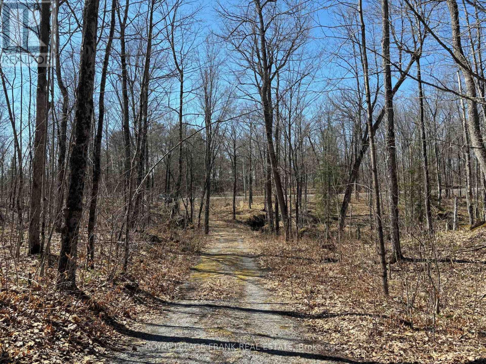 185 JULIAN LAKE ROAD, north kawartha, Ontario