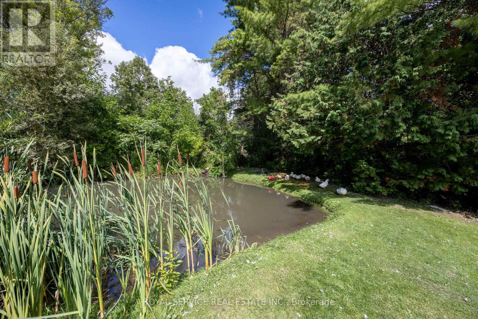 60 King Street W, Cavan Monaghan (Millbrook Village), Ontario  L0A 1G0 - Photo 47 - X12364978