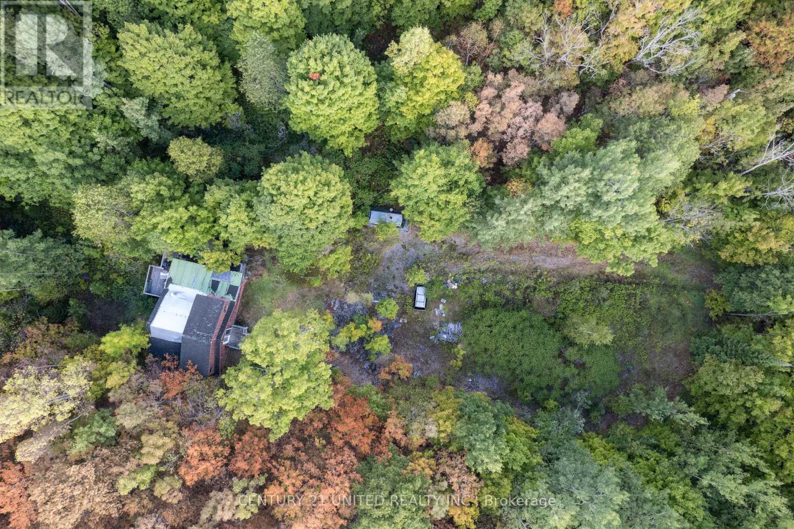 23 Rusaw Road, North Kawartha, Ontario  K0L 1A0 - Photo 11 - X12366284