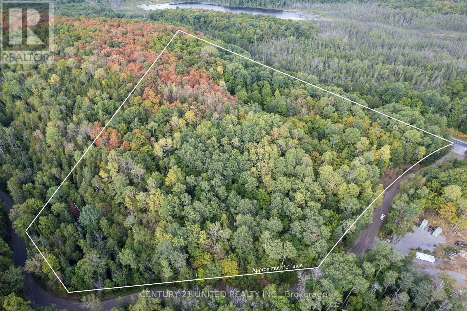 23 Rusaw Road, North Kawartha, Ontario  K0L 1A0 - Photo 4 - X12366284