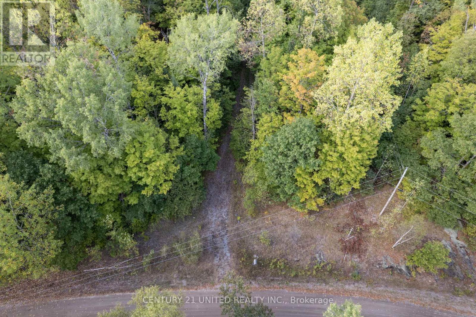 23 Rusaw Road, North Kawartha, Ontario  K0L 1A0 - Photo 5 - X12366284
