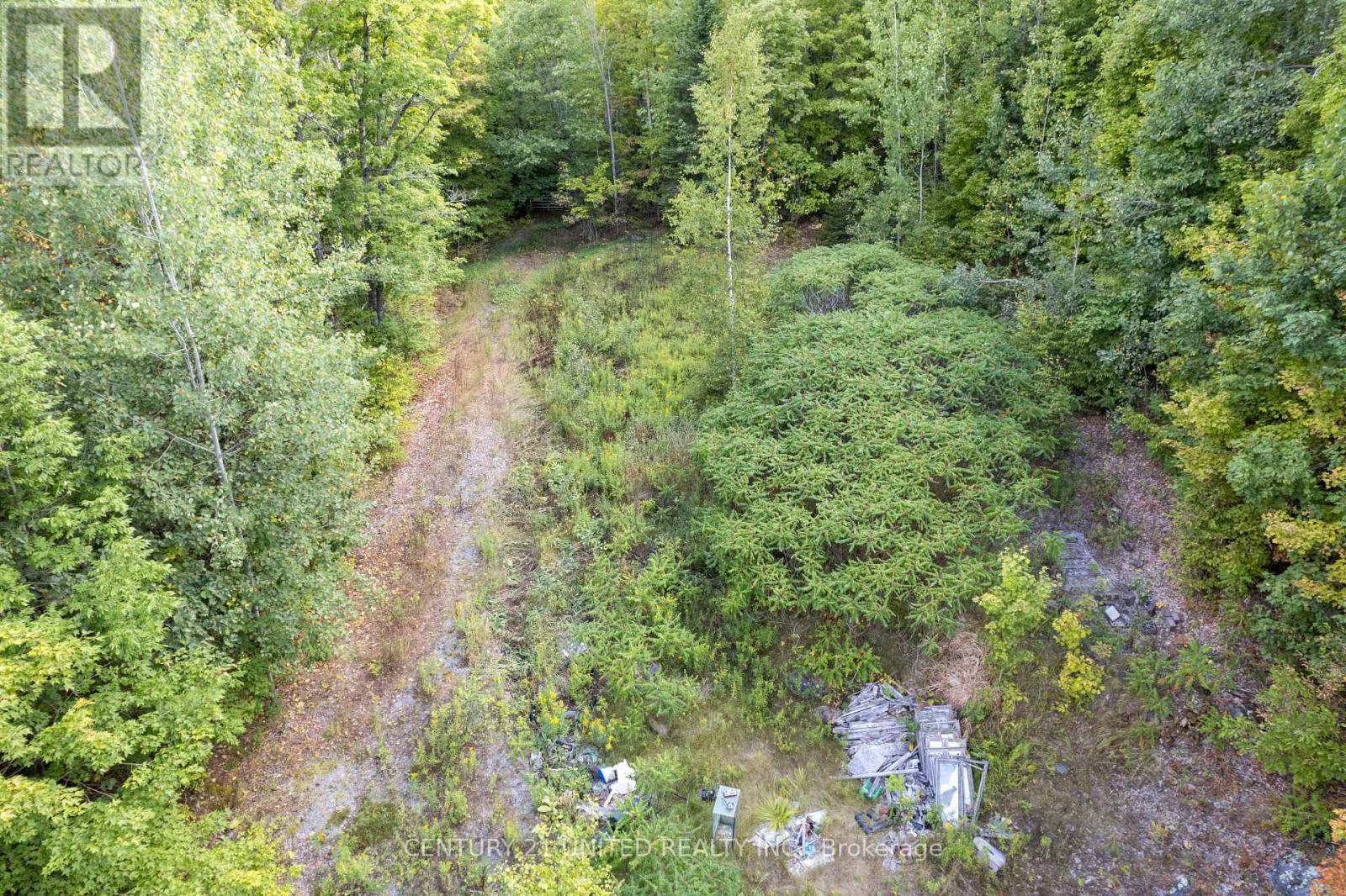 23 Rusaw Road, North Kawartha, Ontario  K0L 1A0 - Photo 6 - X12366284