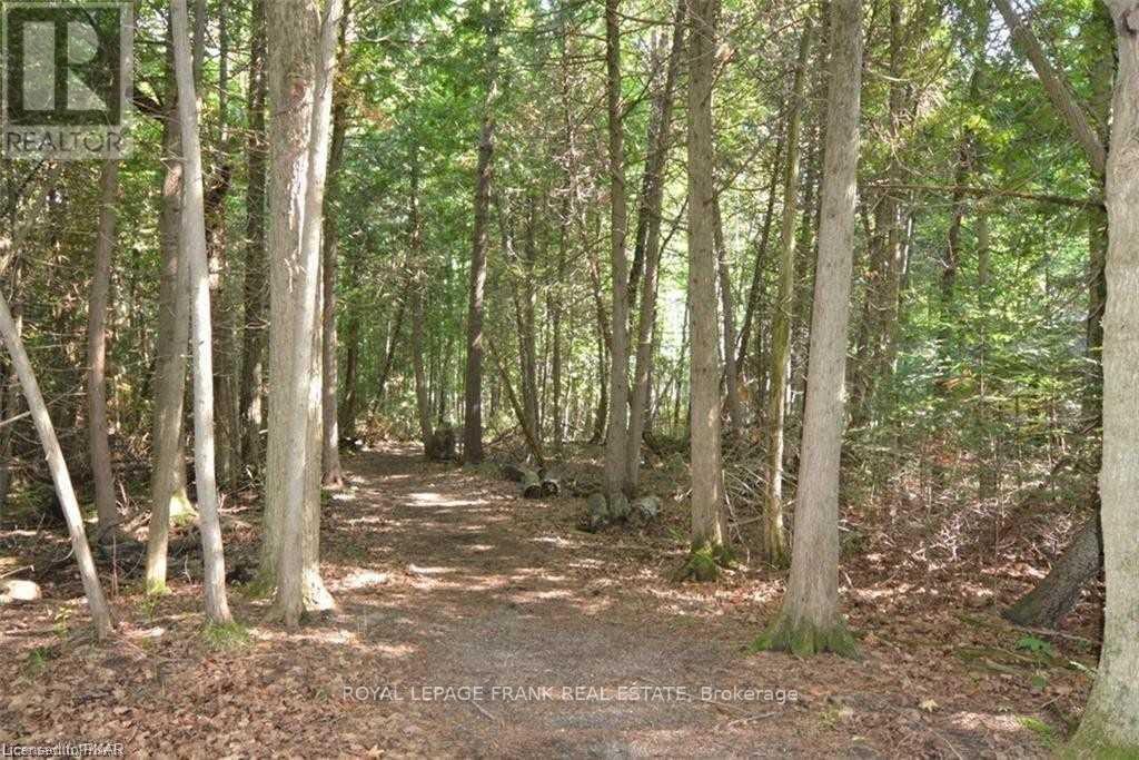 0 Hall Drive, Trent Lakes, Ontario  K0L 1J0 - Photo 2 - X12366520