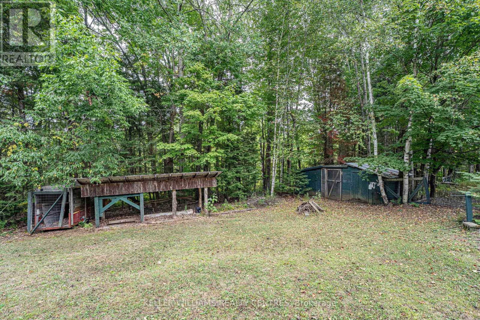 3443 County Rd 620 Road, North Kawartha, Ontario  K0L 1A0 - Photo 17 - X12367552