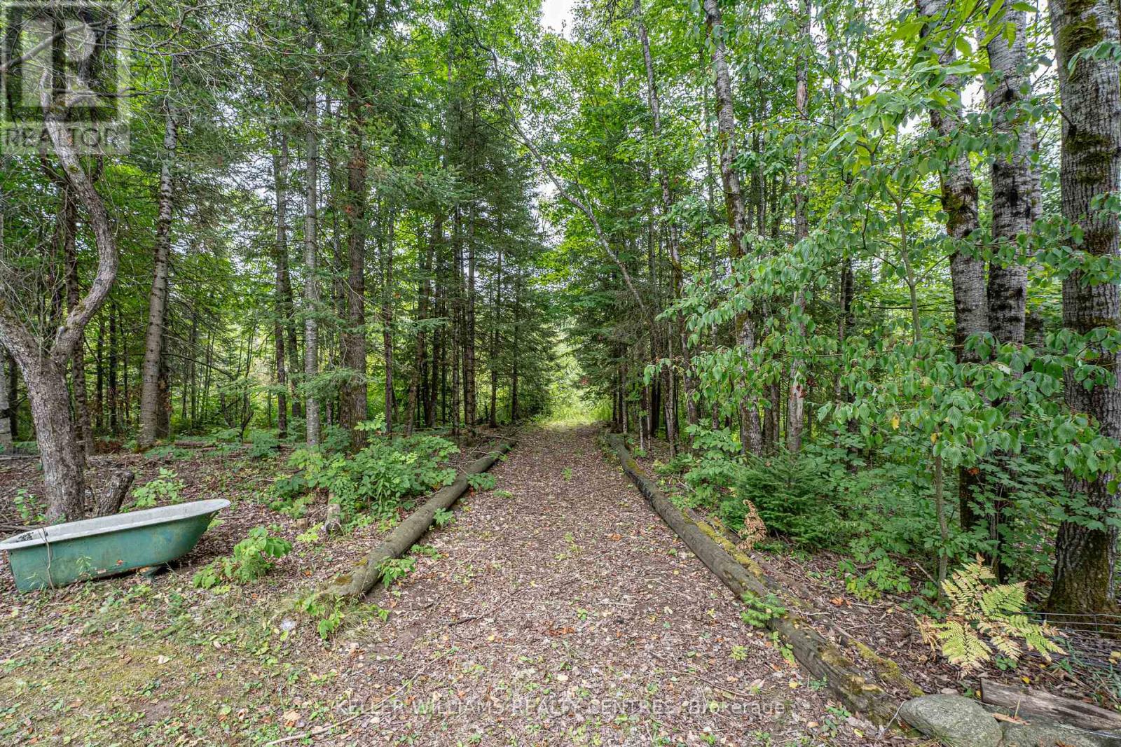 3443 County Rd 620 Road, North Kawartha, Ontario  K0L 1A0 - Photo 22 - X12367552