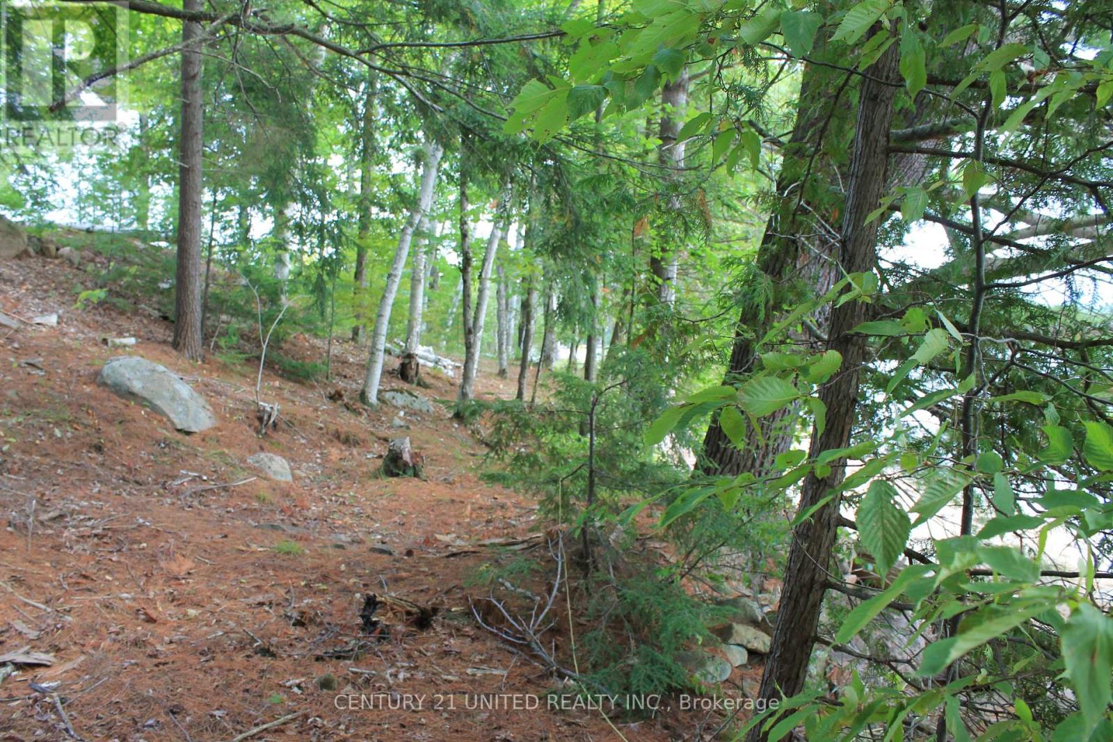 45 Fire Route 223, Trent Lakes, Ontario  K0L 1J0 - Photo 18 - X12368165