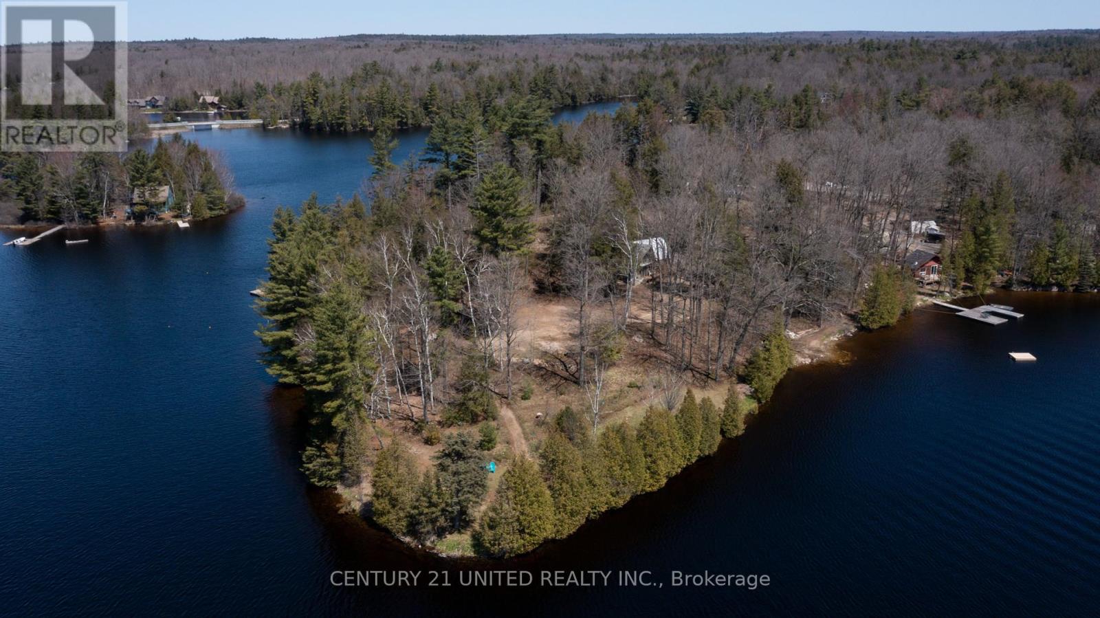 45 Fire Route 223, Trent Lakes, Ontario  K0L 1J0 - Photo 34 - X12368165
