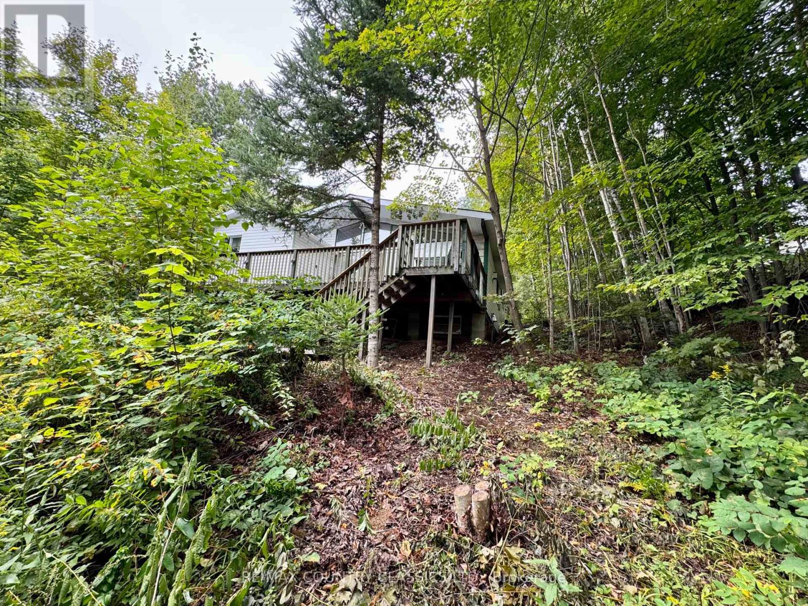 256 Elgin Road, Hastings Highlands (Mcclure Ward), Ontario  K0L 2K0 - Photo 3 - X12370611
