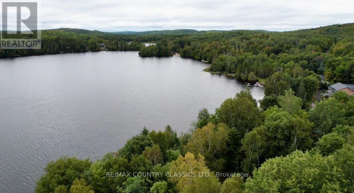 256 Elgin Road, Hastings Highlands (Mcclure Ward), Ontario  K0L 2K0 - Photo 38 - X12370611