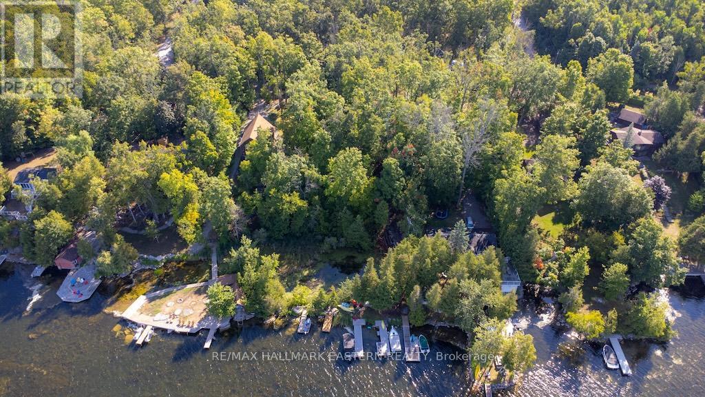 22 Carolina Court, Trent Lakes, Ontario  K9J 6X2 - Photo 42 - X12371551