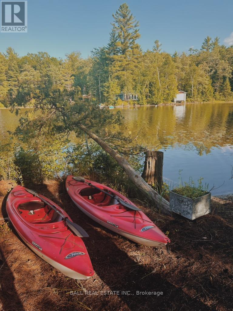 260 Island 26, Trent Lakes, Ontario  K0L 1J0 - Photo 13 - X12371730
